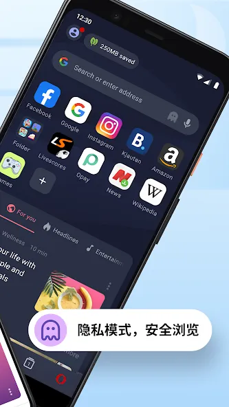 Opera Mini - 极速浏览器 screenshot 2
