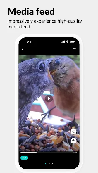 Netvue Next - In Sight In Mind screenshot 4