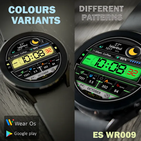 ES WR009 screenshot 16