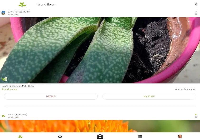 PlantNet Plant Identification screenshot 12
