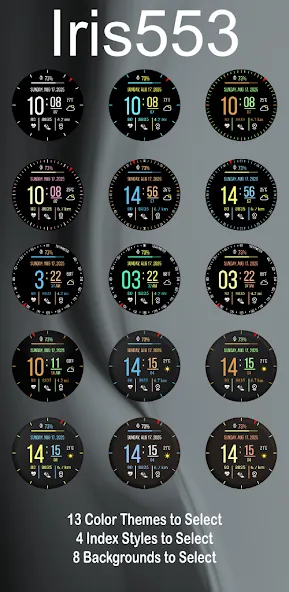 Iris553 Multi-Function Digital screenshot 7