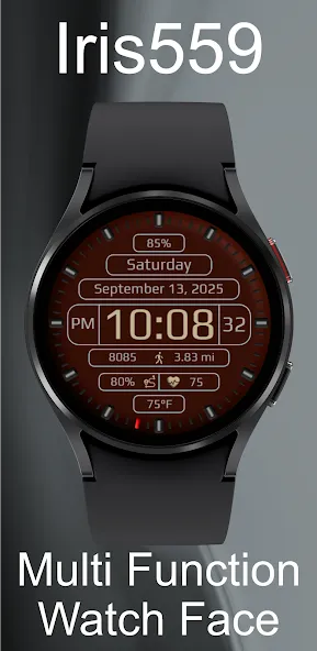 Iris559 Multi-Function Digital screenshot 17