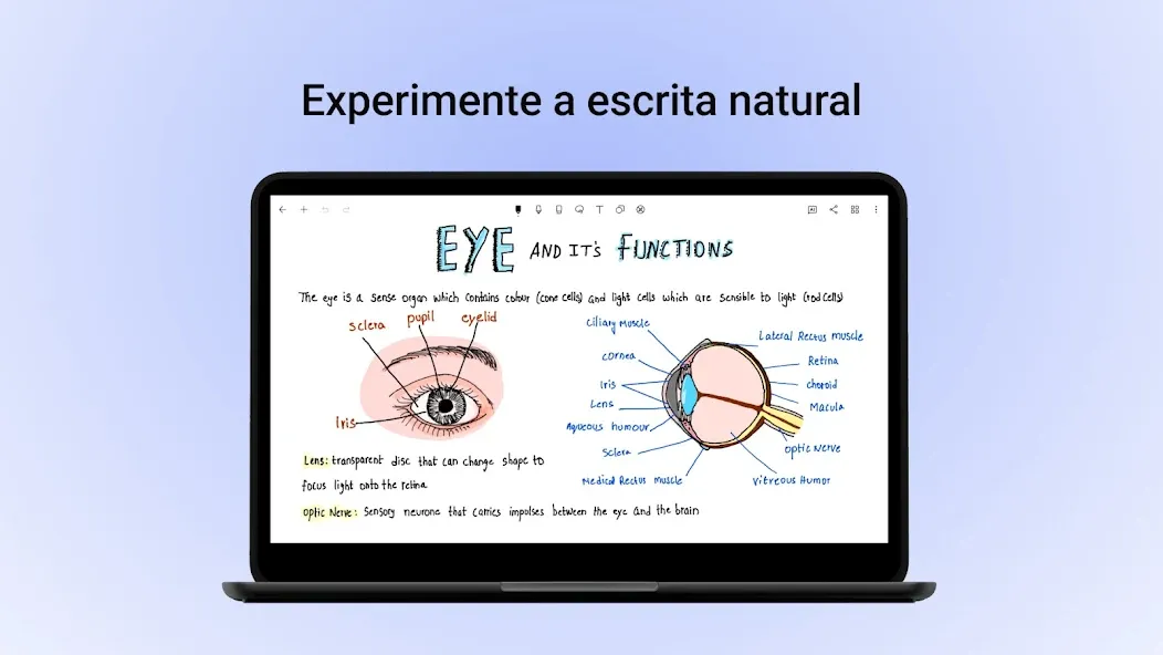 Noteshelf: Notas Digitais screenshot 25
