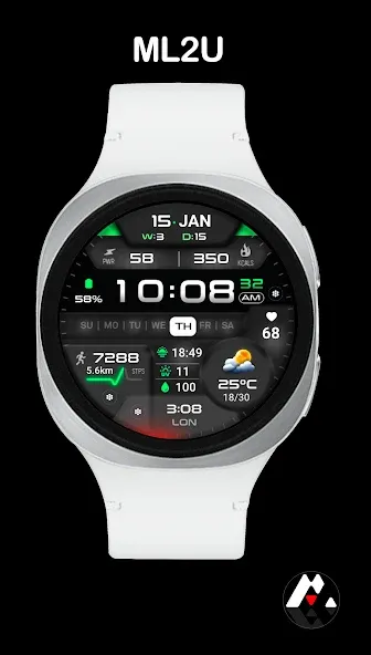 ML2U 381 Hybrid Watch Face screenshot 1