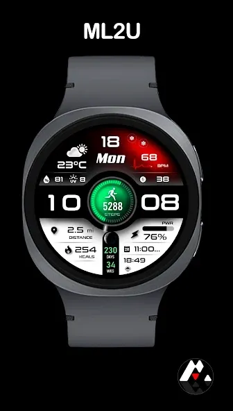 ML2U 293 Watch Face screenshot 6