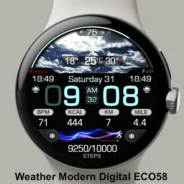 Modern Weather Digital ECO58 screenshot 4