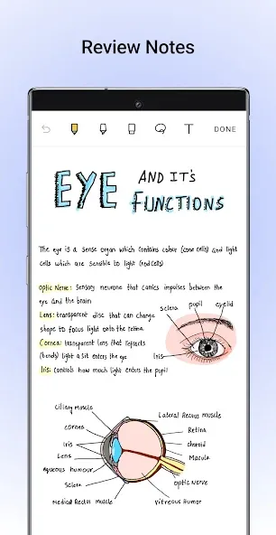Noteshelf: Notas Digitais screenshot 1