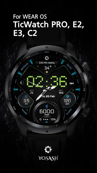 H355 Pixels Watch Face YOSASH screenshot 5
