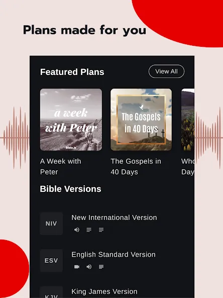 Bible - Audio & Video Bibles screenshot 10