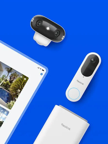 Reolink screenshot 8
