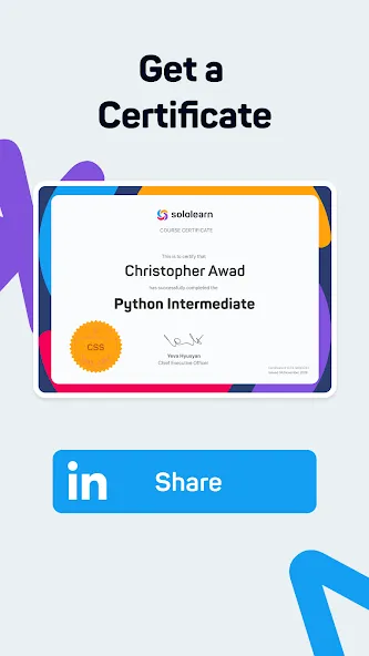 Sololearn: Learn to code screenshot 6