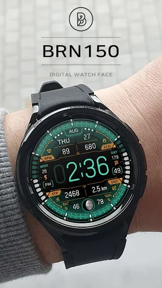 BRN150 - COCKPIT screenshot 2