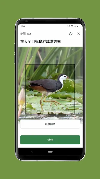Merlin 鸟种识别 by Cornell Lab screenshot 6