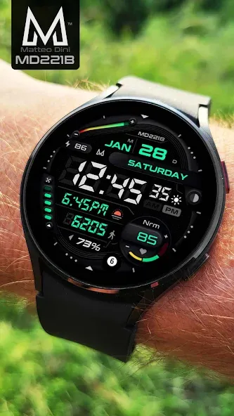 MD221B Digital watch face screenshot 4