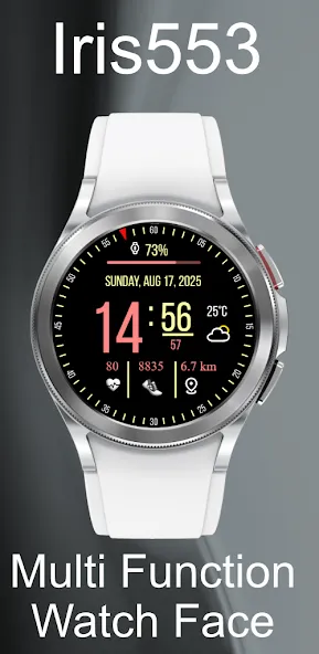 Iris553 Multi-Function Digital screenshot 2