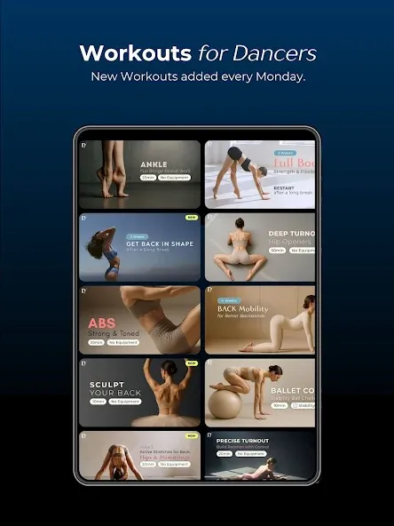 DANCE MASTERCLASS screenshot 8