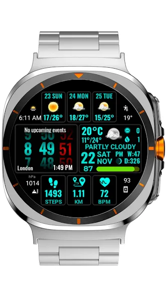Weather hours and days NTV600 screenshot 5