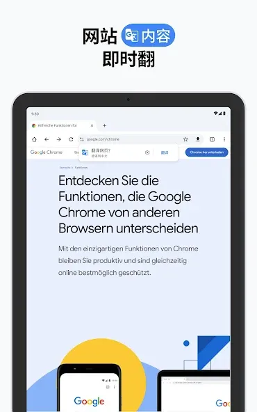 Google Chrome 浏览器 screenshot 19