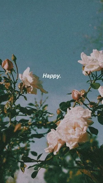 aesthetic background screenshot 2