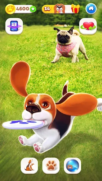 Tamadog - 강아지 키우기 펫프렌즈게임 screenshot 3