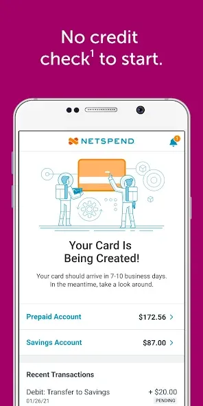 Classic Netspend screenshot 2