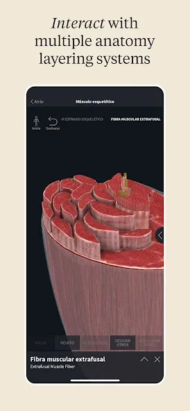Complete Anatomy - Learn in 3D screenshot 6