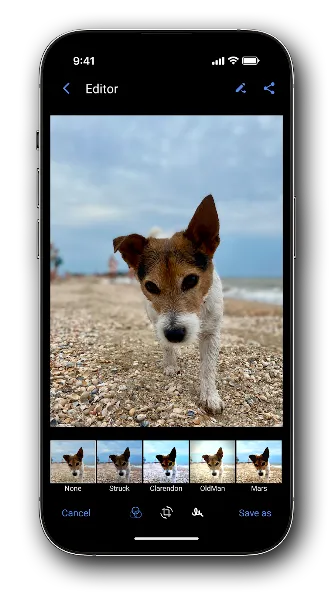 Right Gallery screenshot 8