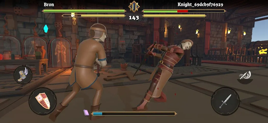 Sword Fight: Knight Arena Pro screenshot 4