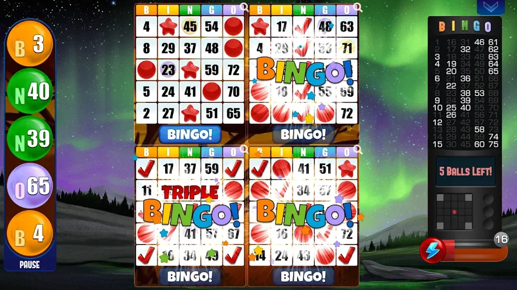 Absolutes Bingo screenshot 2