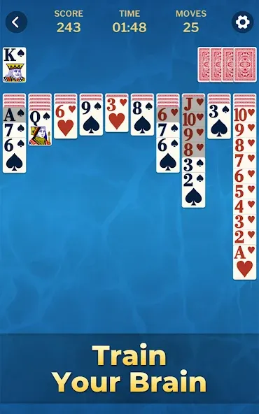 Spider Solitaire Classic Games screenshot 13