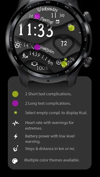 Ccwf022 Digital Watch Face screenshot 2