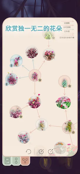 Florisium screenshot 6