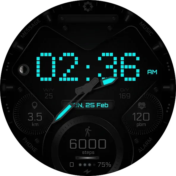 H355 Pixels Watch Face YOSASH screenshot 30