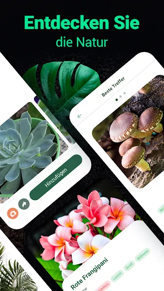 Plantum - Pflanzen bestimmen screenshot 4