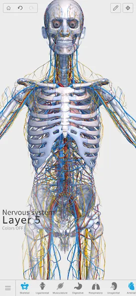 Visual Anatomy 3D - Human body screenshot 7