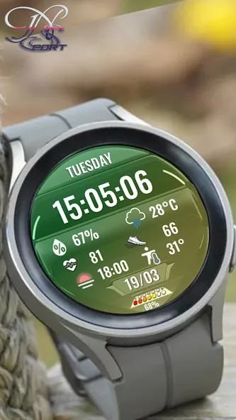 N-SPORT692 Big Dial Watch Face screenshot 5