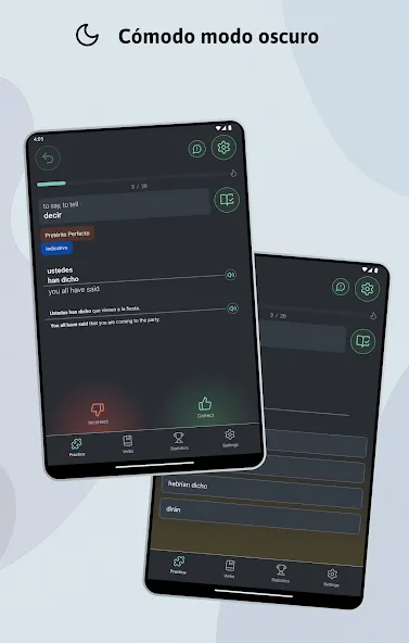 Español verbos y conjugaciones screenshot 20