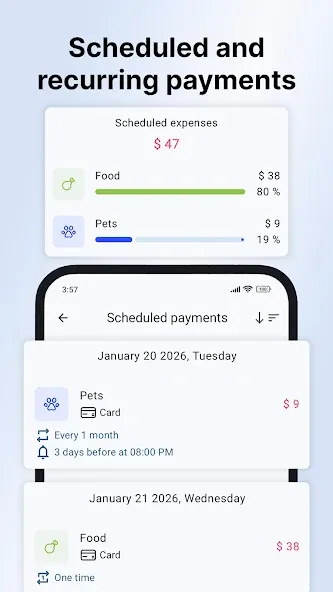 Sumlio: Expense & Budget screenshot 3