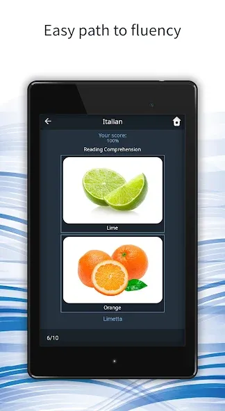 Learn 163 Languages | Bluebird screenshot 11