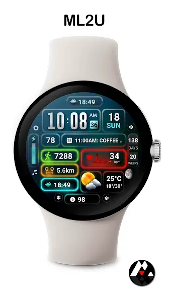 ML2U 251 Watch Face screenshot 1