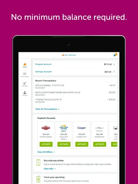 Classic Netspend screenshot 7