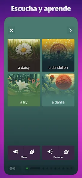 OkyDoky - Cursos de Idiomas screenshot 6