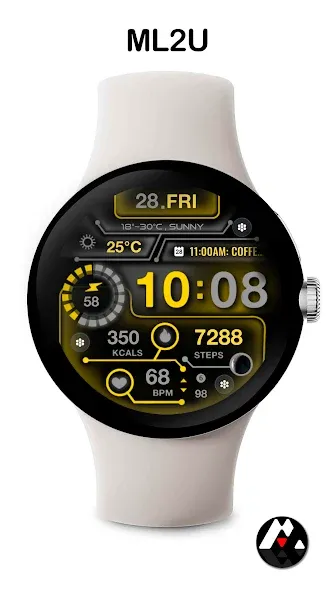 ML2U 217 Watch Face screenshot 5