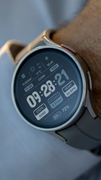 SG-155 screenshot 7