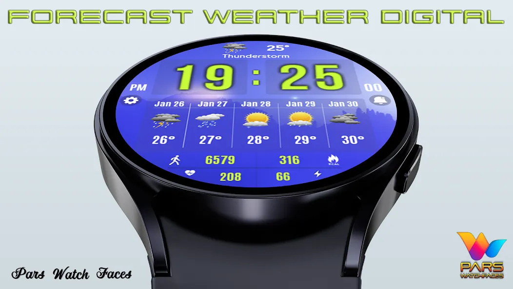 Forecast Weather Digital screenshot 4