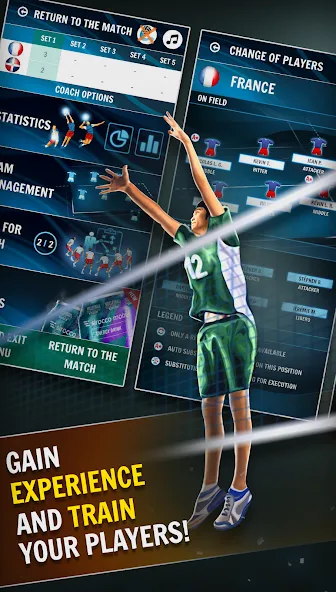 Volleyball Championship screenshot 2