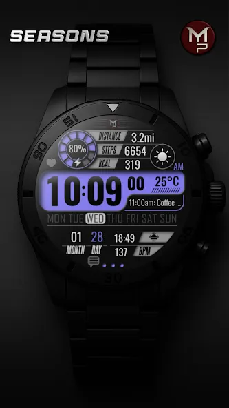 SEASONS - Digital Watch Face screenshot 3