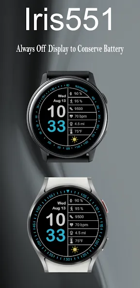 Iris551 Multi-Function Digital screenshot 7