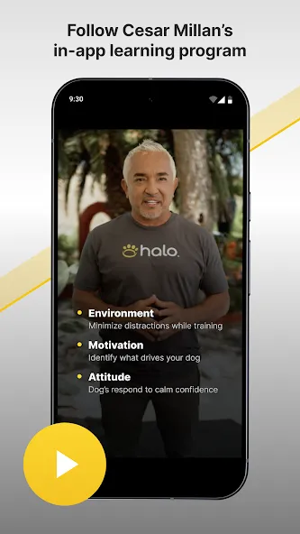 Halo Collar screenshot 3