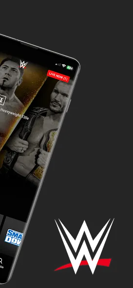 WWE screenshot 2